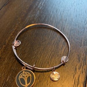 Acorn Alex and Ani Bracelet